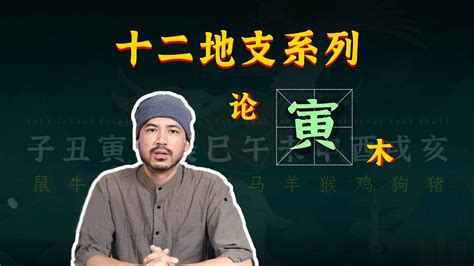 寅卯 系列|论甲木系列（六）